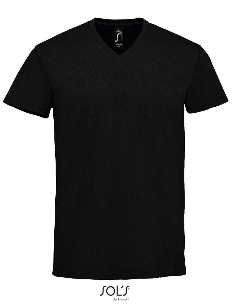 TEE-SHIRT HOMME COL V  - 02940